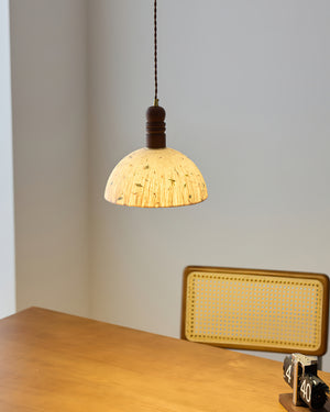 Sylvane Dome Pendant Lamp