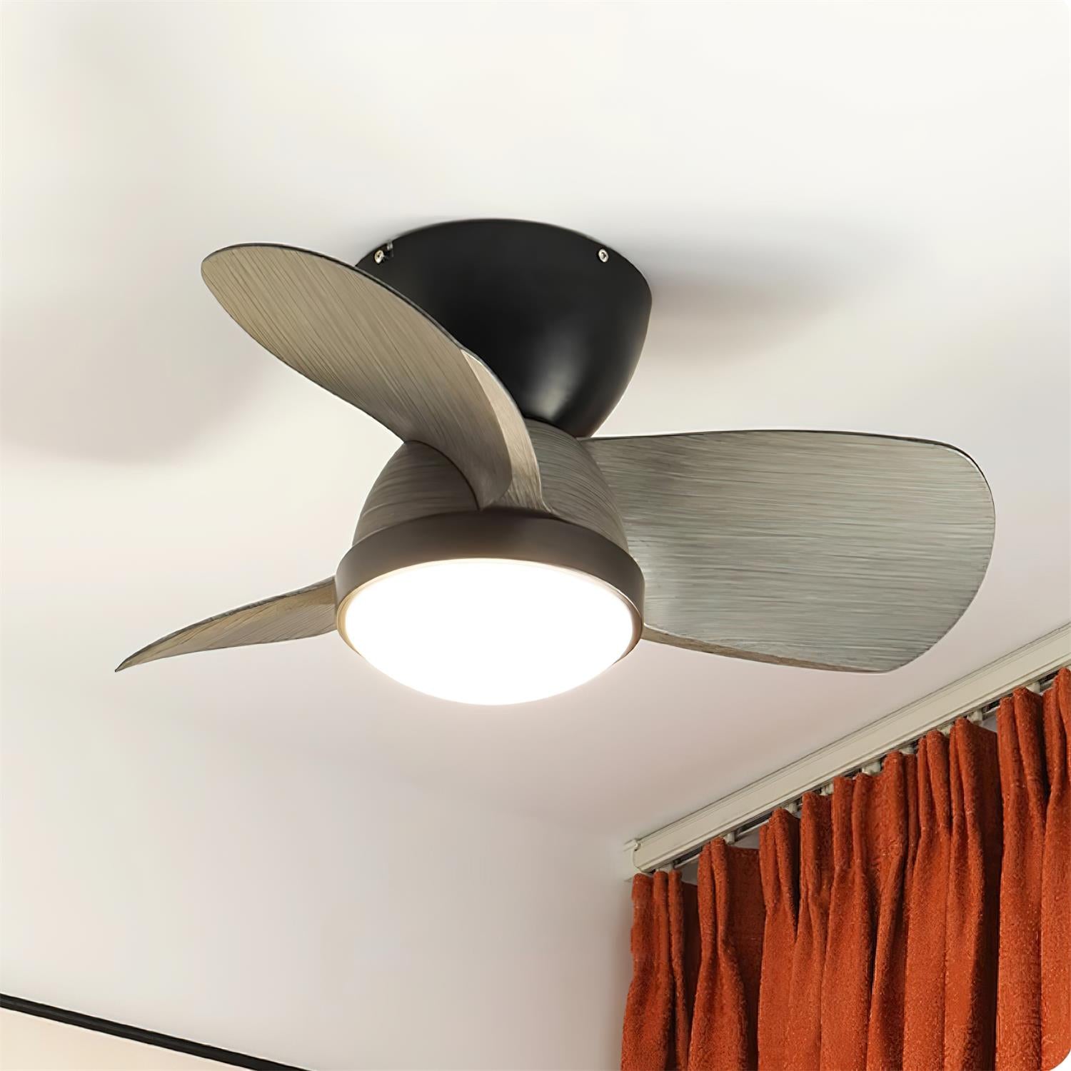 Talaya 24″ Ceiling Fan Light