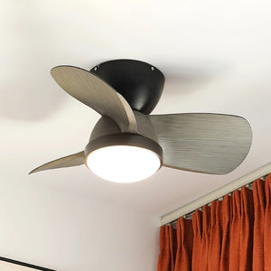 Talaya 24″ Ceiling Fan Light