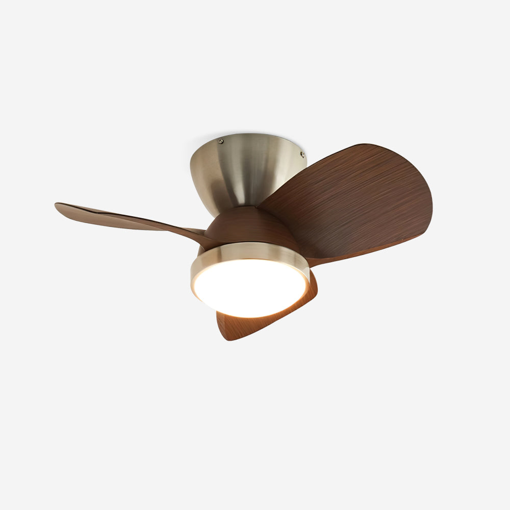 Talaya 24″ Ceiling Fan Light