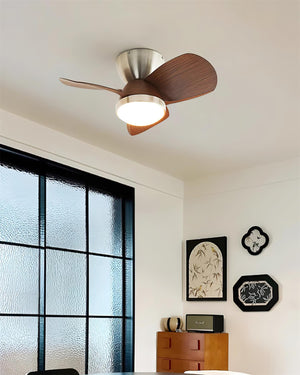 Talaya 24″ Ceiling Fan Light