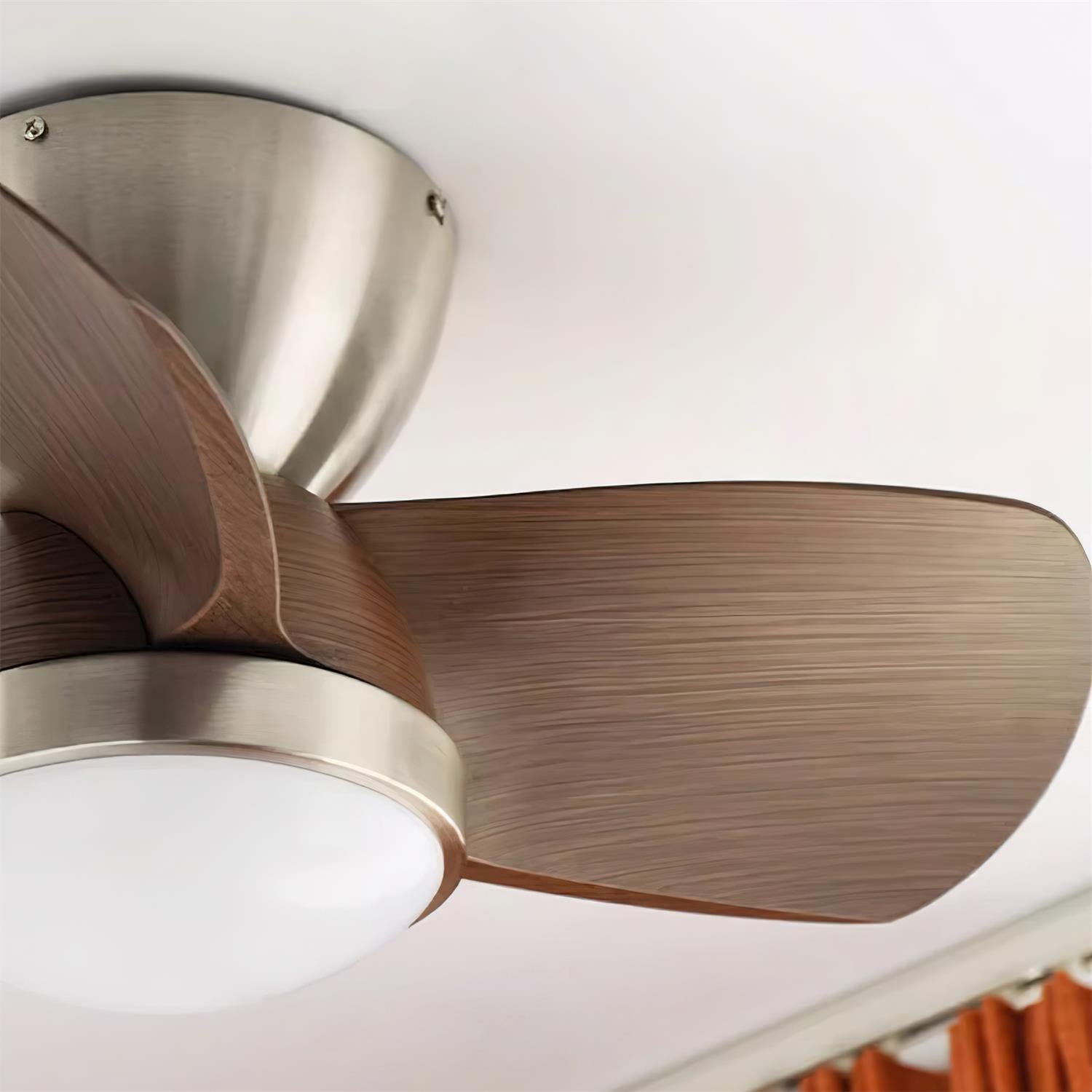 Talaya 24″ Ceiling Fan Light