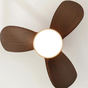 Talaya 24″ Ceiling Fan Light