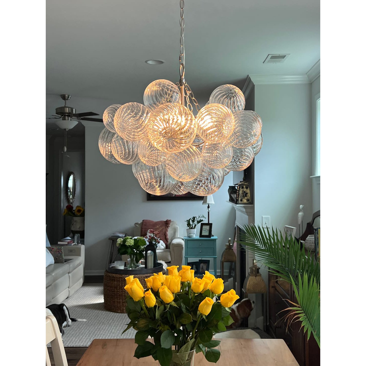 Talia Glass Chandelier