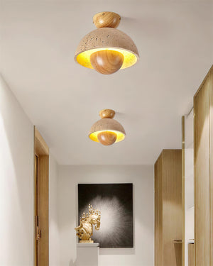 Toccata Ceiling Light