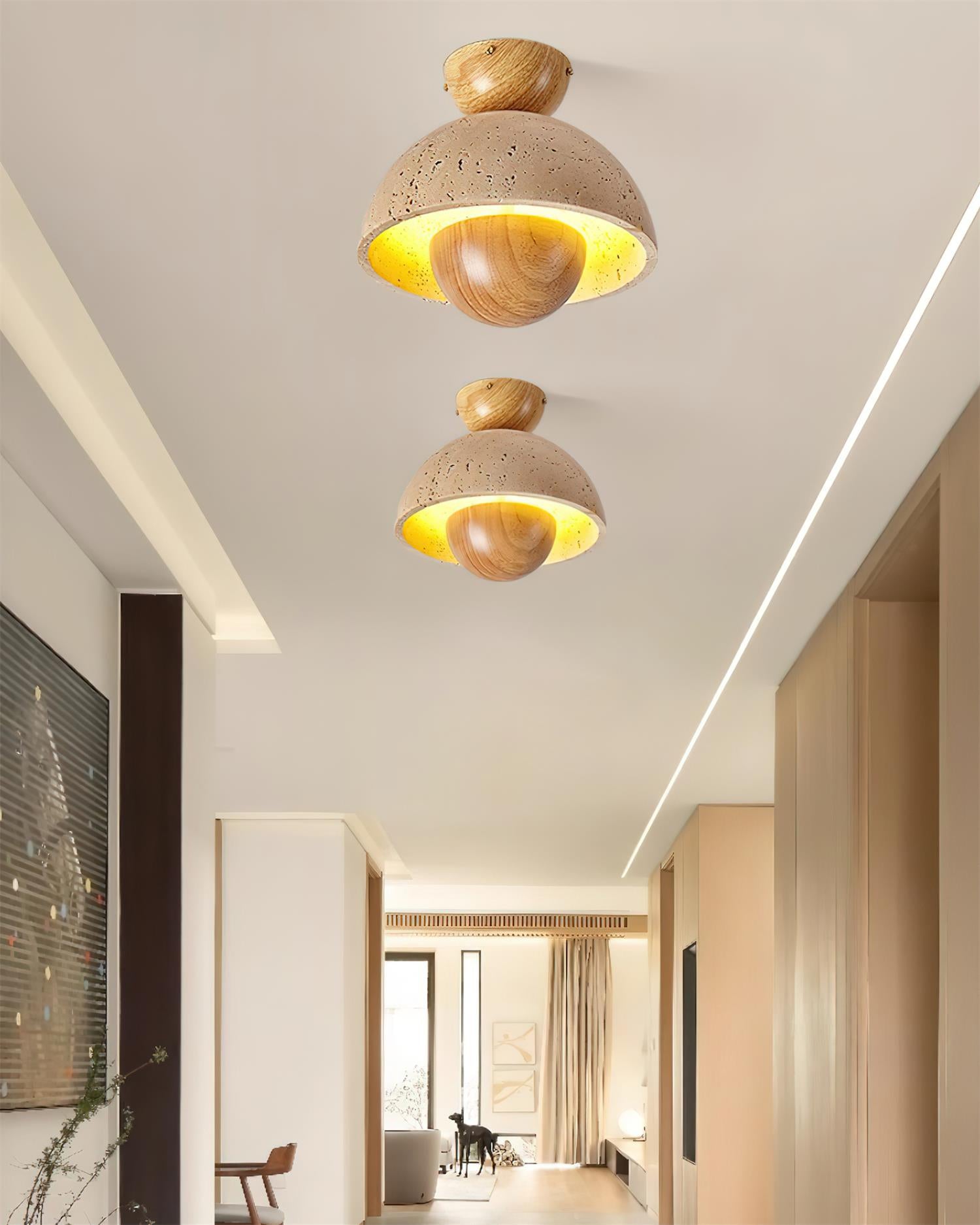 Toccata Ceiling Light