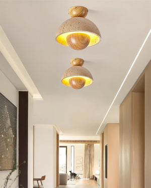 Toccata Ceiling Light