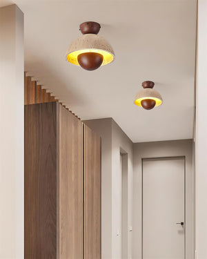 Toccata Ceiling Light