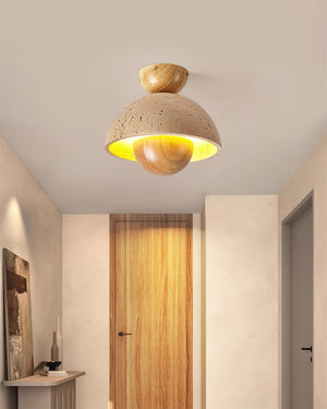 Toccata Ceiling Light