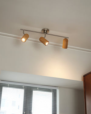 Trevio Track Lighting