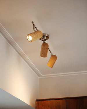 Trevio Track Lighting