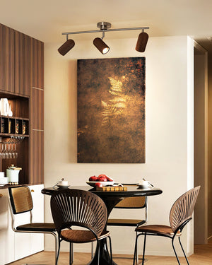 Trevio Track Lighting