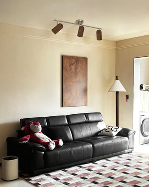 Trevio Track Lighting