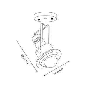 Triton Focus Ceiling Lamp