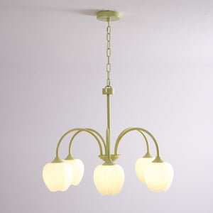 Tulip Matcha Chandelier