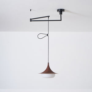 Veluna Swing Arm Pendant Lamp