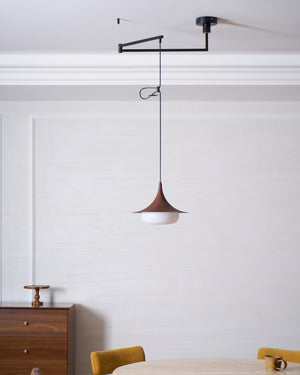 Veluna Swing Arm Pendant Lamp
