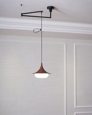 Veluna Swing Arm Pendant Lamp