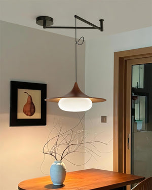 Veluna Swing Arm Pendant Lamp