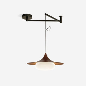 Veluna Swing Arm Pendant Lamp
