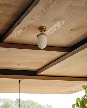 Veyra Ceiling Lamp