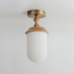 Veyra Ceiling Lamp