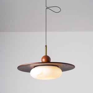 Vicenza Swing Arm Pendant Lamp