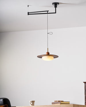 Vicenza Swing Arm Pendant Lamp