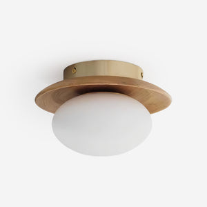 Vireo Ceiling Lamp