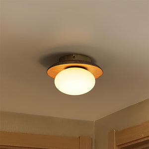 Vireo Ceiling Lamp