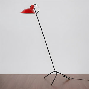 Vivid Curve Floor Lamp