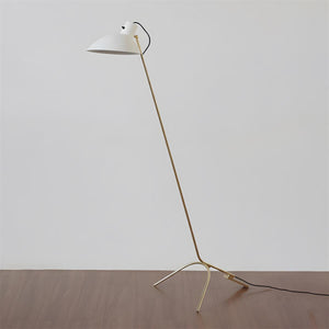 Vivid Curve Floor Lamp