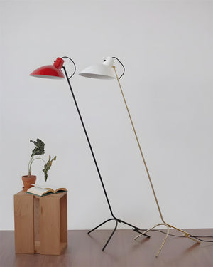 Vivid Curve Floor Lamp