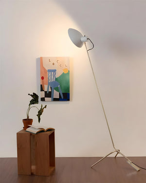 Vivid Curve Floor Lamp