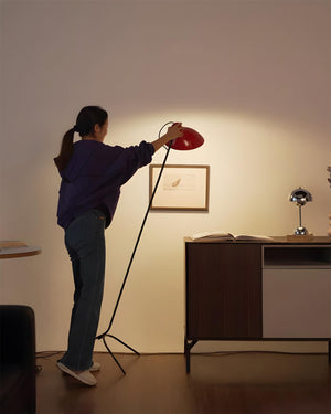Vivid Curve Floor Lamp