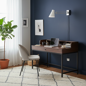 Zenith Swing Plug In Wall Lamp