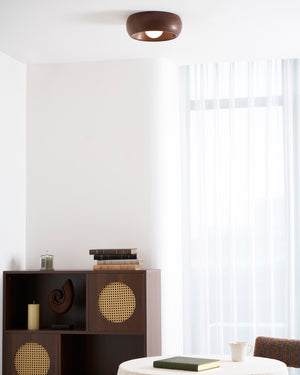 Luz de techo Zuwa 11.8″- 3.9″